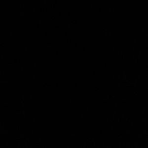 Meet your Posher, lamb